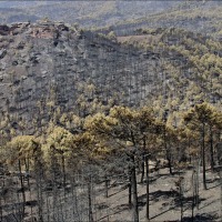 Foto de Alto Tajo