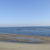 Foto de Arcachon
