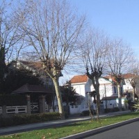 Foto de Arcachon