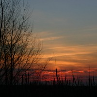 Foto de Palencia