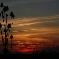 Foto de Palencia