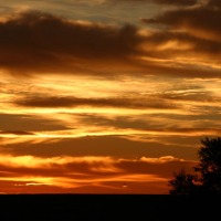 Foto de Palencia