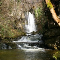 Foto de Villabascones de Bezana