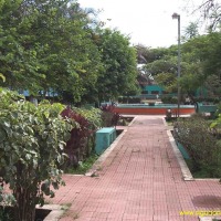 Foto de Campamento Olancho