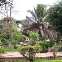 Foto de Campamento Olancho