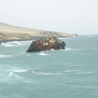 Foto de Fuerteventura