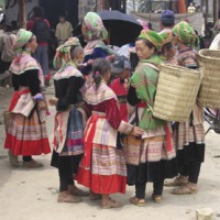 Foto de Bac-ha