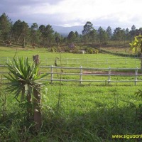 Foto de Aguas del Padre (Siguatepeque)