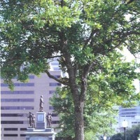 Foto de AUSTIN