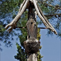 Foto de Benicasin