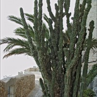 Foto de Peñíscola