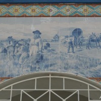 Foto de Almodôvar