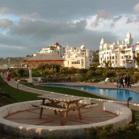 Foto de Algarrobo