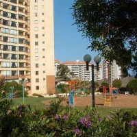 Foto de Algarrobo