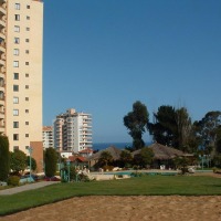 Foto de Algarrobo