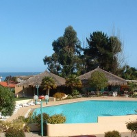 Foto de Algarrobo