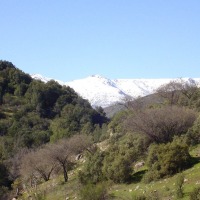 Foto de QUILPUE