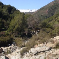 Foto de QUILPUE