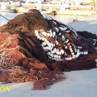 Foto de Torrevieja