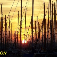 Foto de Torrevieja