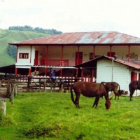 Foto de Santa Rosa de Cabal