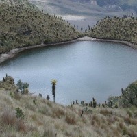 Foto de Santa Rosa de Cabal