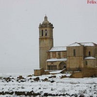 Foto de Baquerin de Campos