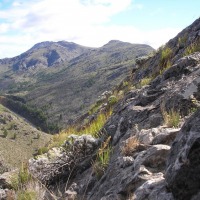 Foto de Sierra de La Ventana