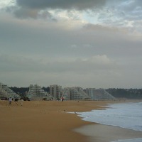Foto de Algarrobo