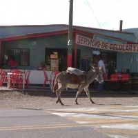 Foto de BOYACA