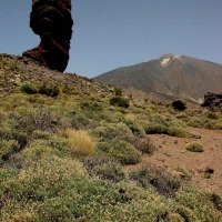 Foto de Tenerife