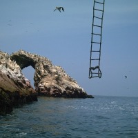 Foto de Paracas Ica Perú