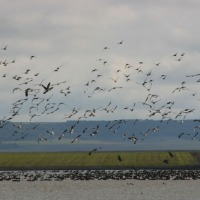 Foto de Boada de Campos
