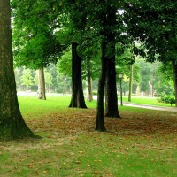 Foto de Oviedo