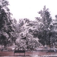 Foto de Torreon Coah.