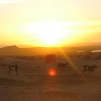 Foto de Cabo de la Vela (Guajira)