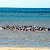 Foto de Cabo de la Vela (Guajira)