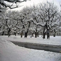 Foto de Einsiedeln
