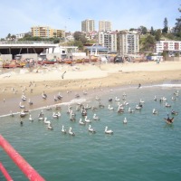 Foto de VALPARAISO