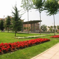 Foto de Lugones