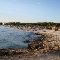 Foto de Campos