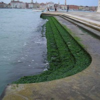 Foto de Venezia