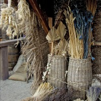 Foto de Medinaceli