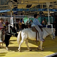 Foto de Zaragoza