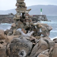 Foto de CAMELLE