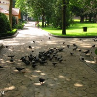 Foto de Oviedo