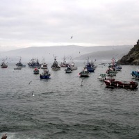 Foto de Malpica