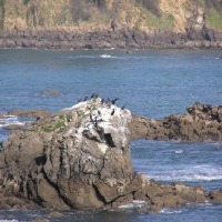 Foto de Santa Cruz - Oleiros
