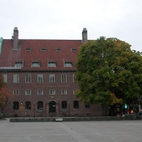 Foto de boras