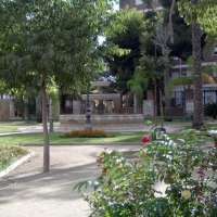 Foto de Manises